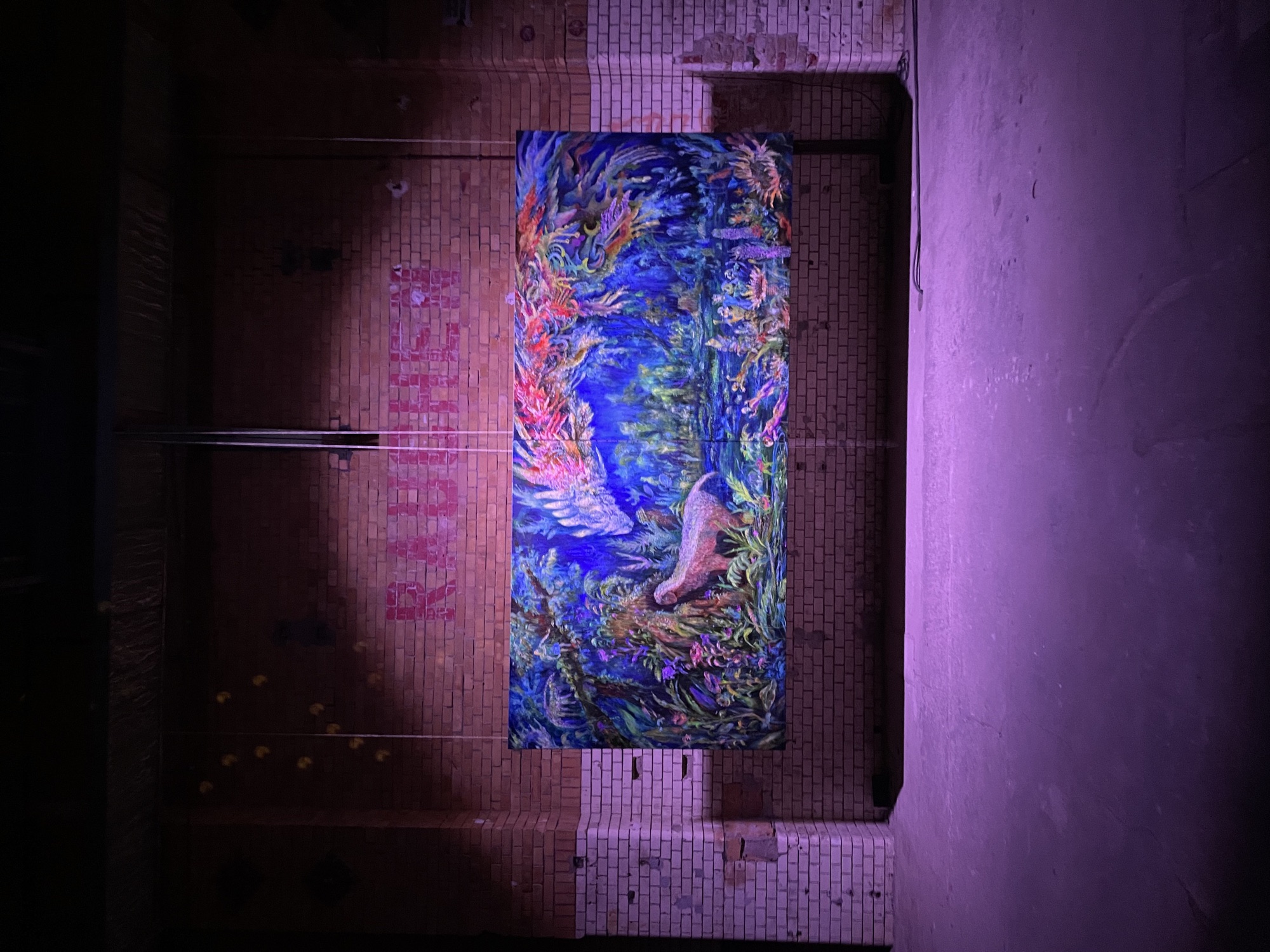 SHINSOU SHINRIN installation view 7